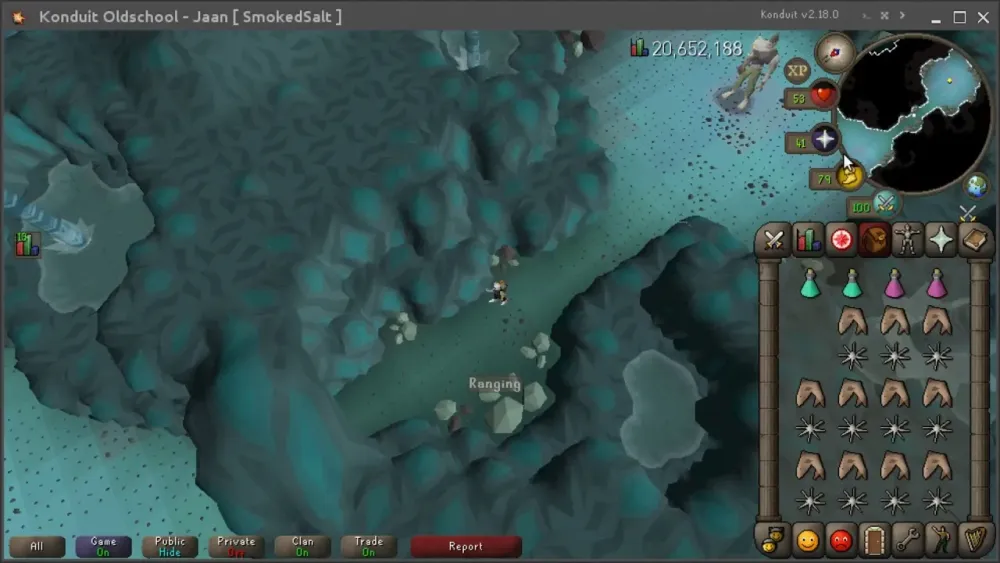 Understanding the Crystal Bow Inactivity in OSRS