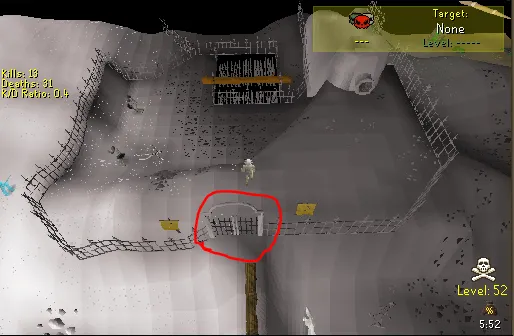 Everything You Need to Know About OSRS Larran’s Key