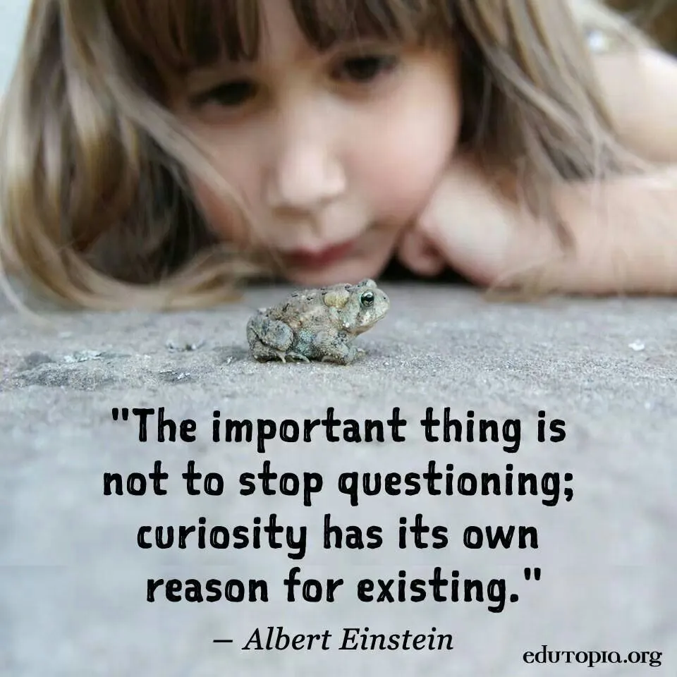Never stop questioning  Einstein quotes Curiosity quotes Quotes for 