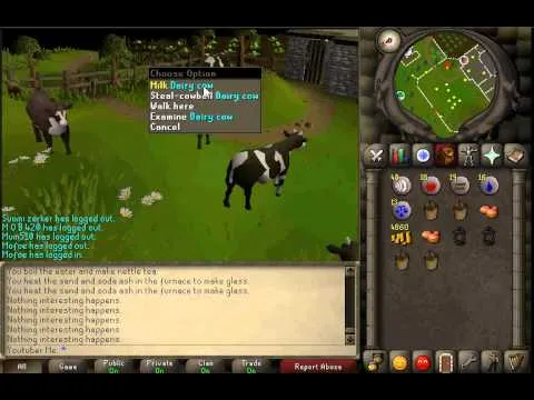 Everything You Need to Know About the OSRS Bucket of Water