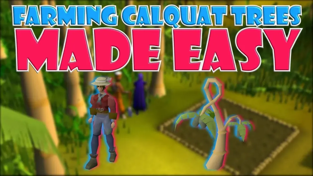 Everything You Need to Know About Calquat Tree Seeds in OSRS
