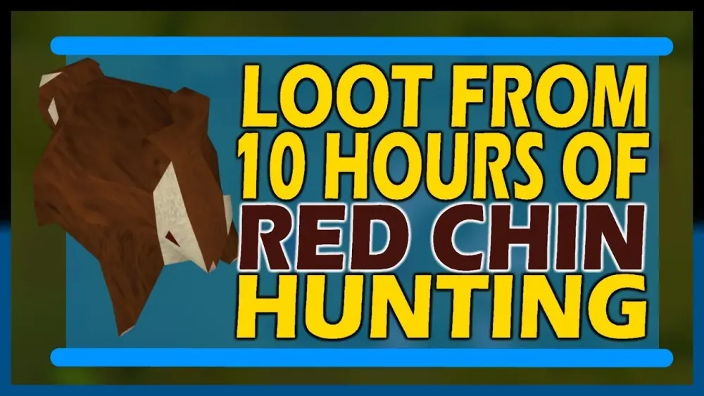 OSRS LOOT From 10hrs of RED CHIN HUNTING  Starting With 65 Hunter 