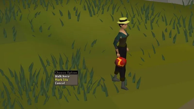 Duke Tile Markers in OSRS: A Comprehensive Guide