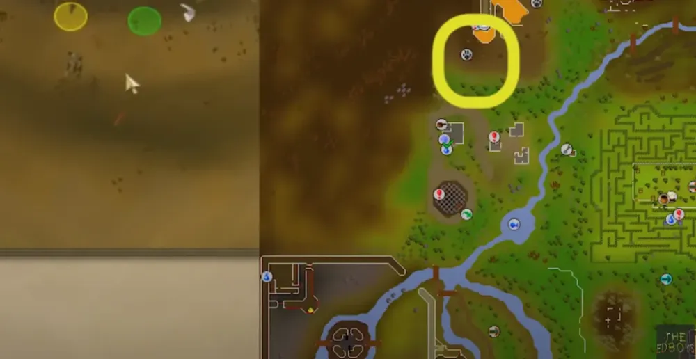 Ultimate Guide to Hunting Black Salamanders in OSRS
