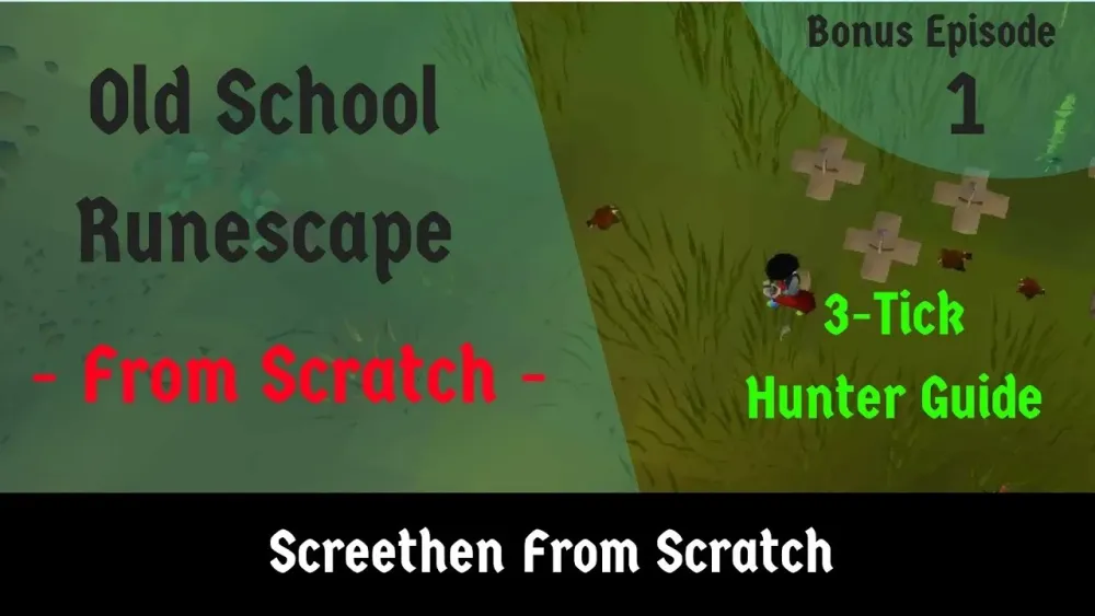 OSRS 3Tick Hunter Guide  YouTube