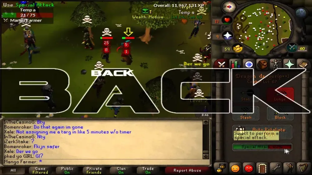 Ultimate Guide to OSRS Mage Range Pure Builds