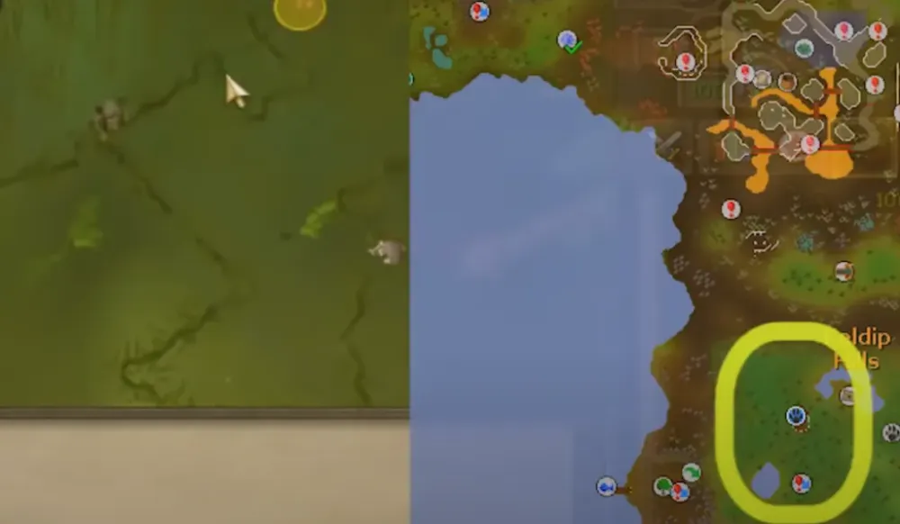 Ultimate Guide to Leveling Hunter from 1 to 99 in OSRS
