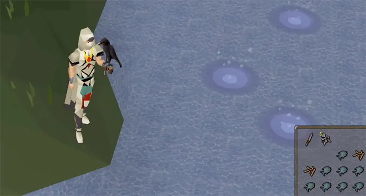 Fly Fishing Osrs  Detailed Guide Fishing Guide For Osrs Updated 2020 
