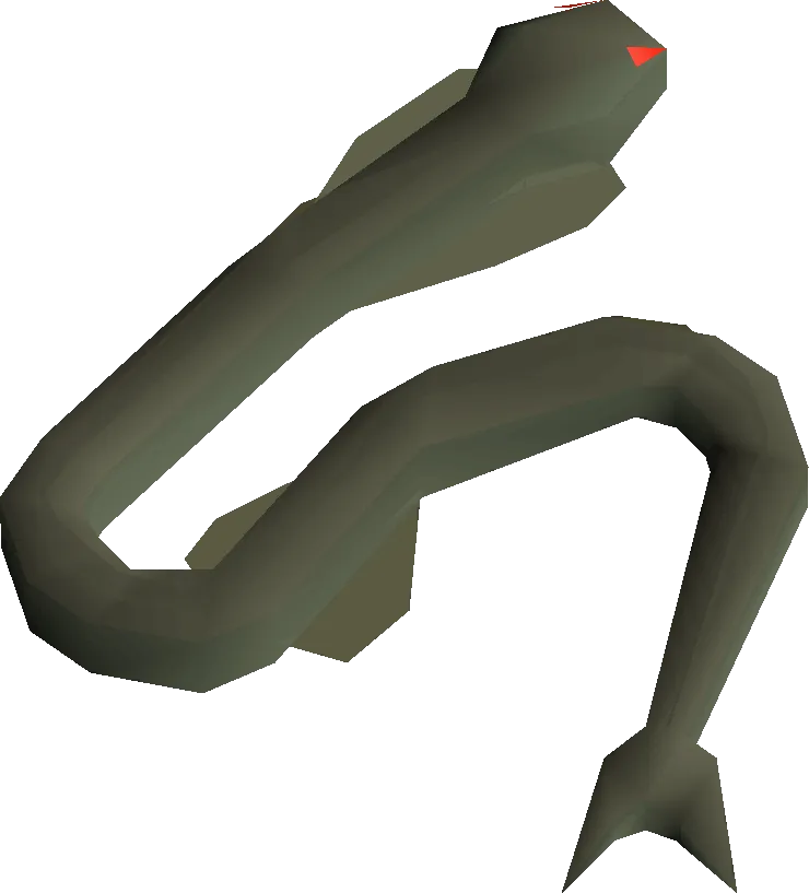How to Dissect a Sacred Eel in OSRS