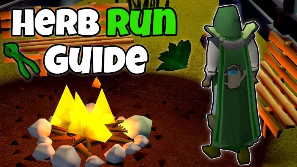Herb Run Guide  Get Rich With Herb Runs  Guide for 2022  OSRS 