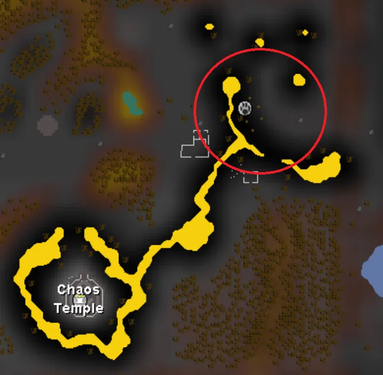 Ultimate Guide on How to Level Hunter in OSRS