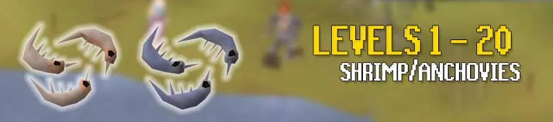 Ultimate Guide: How to Level Fishing in OSRS