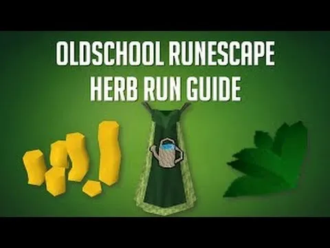 Herb run guide OSRS  YouTube