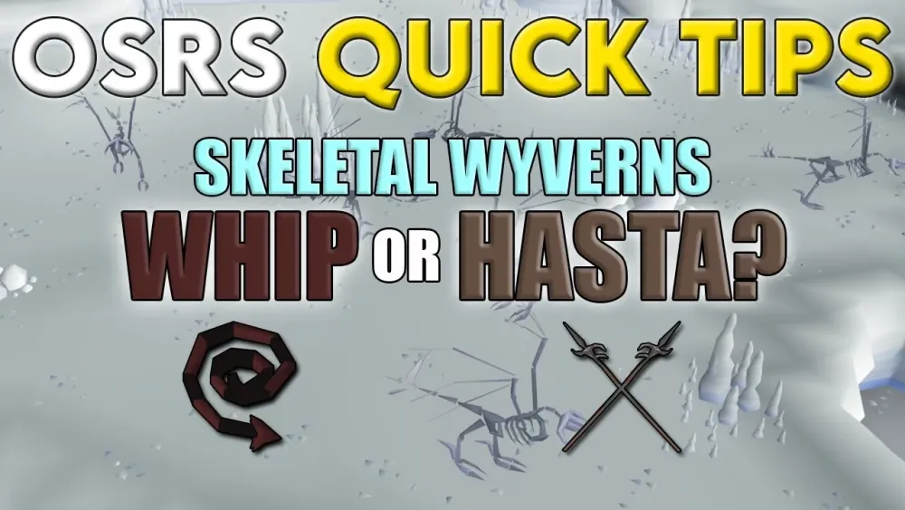 Skeletal Wyverns  WHIP or HASTA  OSRS Quick Tips in 3 Minutes or 