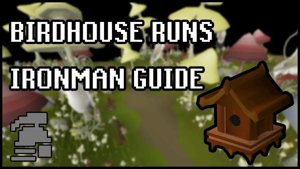 Birdhouse Runs Ironman Guide Updated 2020  YouTube