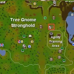 Exploring the OSRS Tree Gnome Stronghold Balloon Route: A Complete Guide