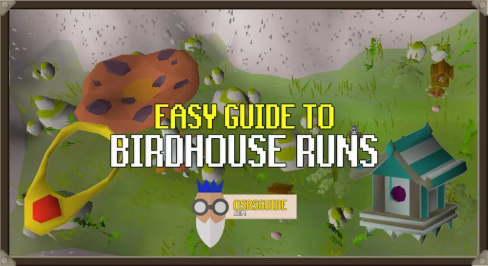 OSRS Birdhouse Run Guide  Passive Hunter Exp  OSRS Guide