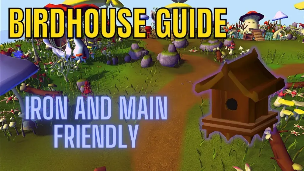 OSRS Birdhouse Guide Ironman Friendly  YouTube