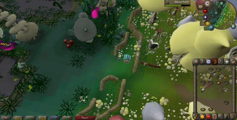 Bird Houses Osrs  Bruin Blog