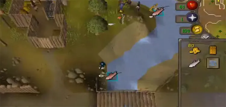 Aerial Fishing Different Colored Spots Osrs  Maria Wiliat