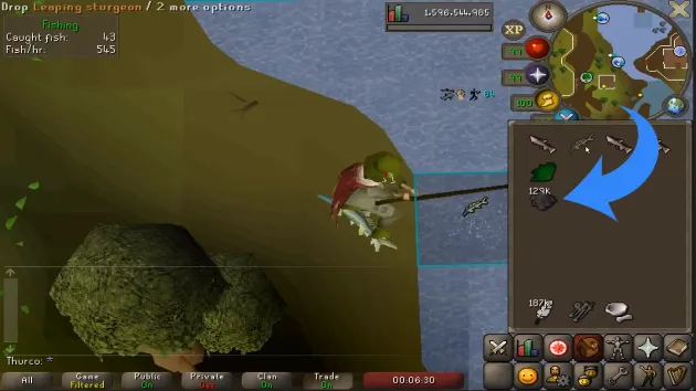 Fastest Fishing XP in OSRS ft Thurco