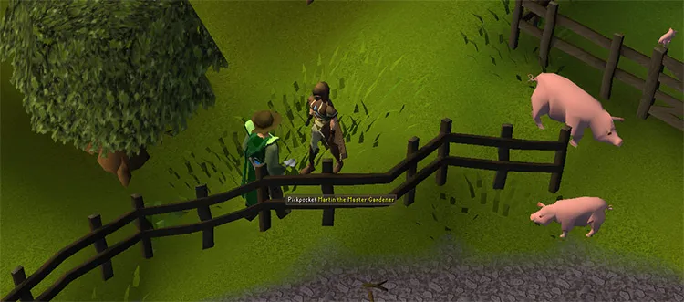 Best AFK Thieving Activities in OSRS F2P  P2P  FandomSpot