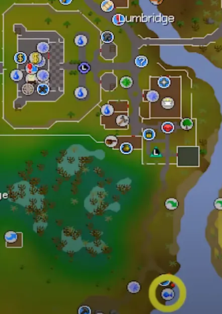 Ultimate Guide to OSRS Non-Moving Fishing Spots