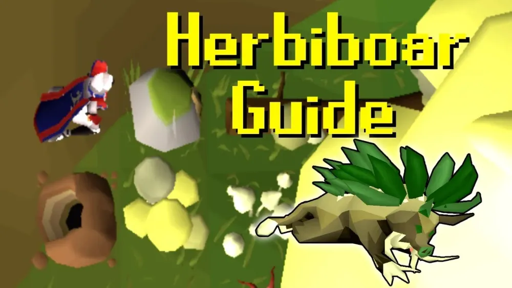 OSRS Herbiboar Money Making Guide XP and GP Per Hour  YouTube