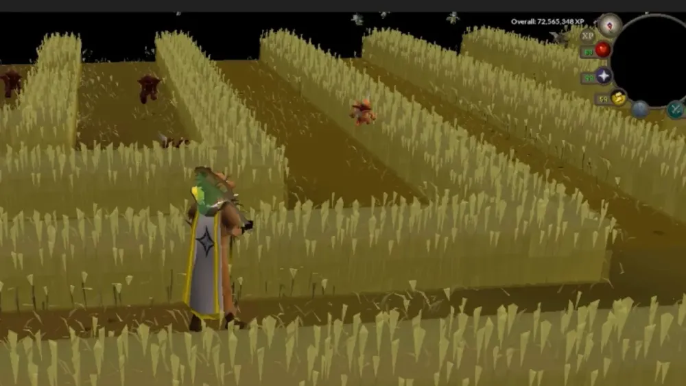 Dragon implings OSRS  YouTube