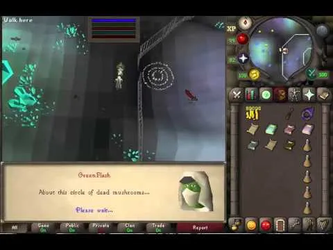 Everything You Need to Know About Fairy Ring Codes in OSRS