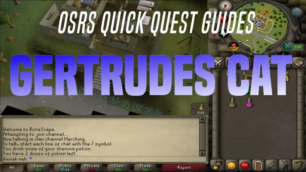 Quick Quest Guides  Gertrudes cat 201  YouTube