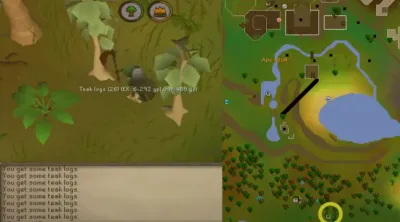 Ultimate Guide to Leveling Woodcutting from 1 to 99 in OSRS