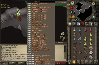 Everything You Need to Know About the OSRS Armadyl God Book