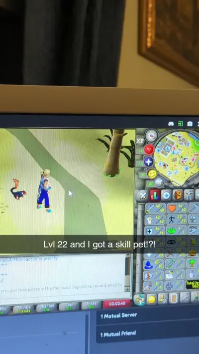 Can You Get a Pet from the New Agility OSRS Colossal Wyrm?