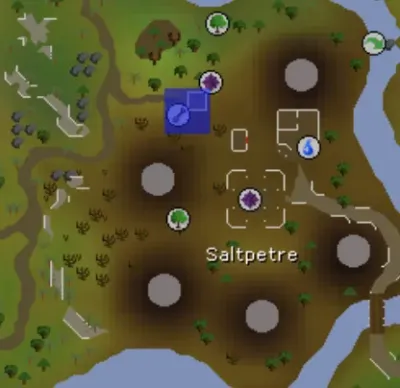 Everything You Need to Know About the OSRS Spirit Tree Patch