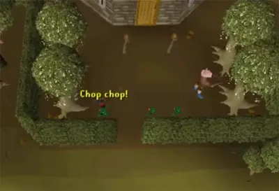 Discovering OSRS Magic Trees Near the Bank: A Comprehensive Guide
