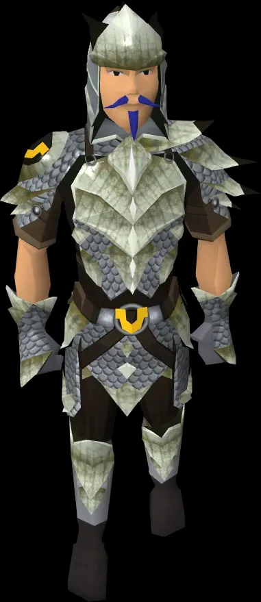 Everything You Need to Know About OSRS Blessed D Hide