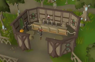 Understanding Eluned After the Song of the Elves in OSRS