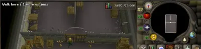 How to Identify the Back of the Over-Acting Brother in OSRS