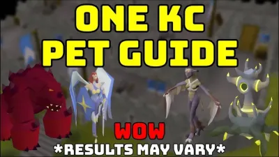 How to Find NPCs for Pet Checking in OSRS