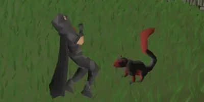 Understanding the Graceful Set in OSRS: How to Obtain and Utilize It Effectively
