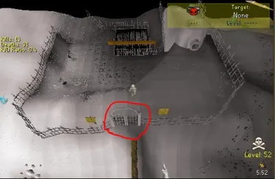 Everything You Need to Know About OSRS Larran’s Key