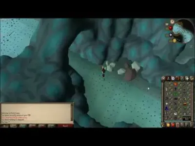 Ultimate Guide to OSRS Monkey Madness 2 Agility Route