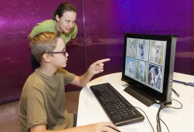 Understanding the Curiosity: Why Do Players Ask to See Your Inventory in OSRS?