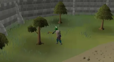 Discovering the Best Places to Cut Mahogany Trees in OSRS