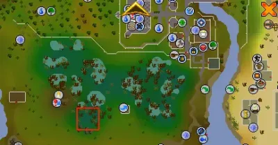 Everything You Need to Know About the Enchanted Water Tiara in OSRS