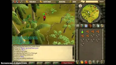 Quick Guide to Jungle Potion in OSRS