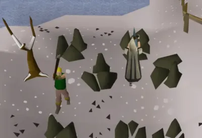 Exploring the Kingdom of Miscellania in OSRS: A Comprehensive Guide