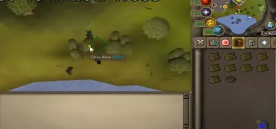 Discover the Best Teak Woodcutting Spots in OSRS