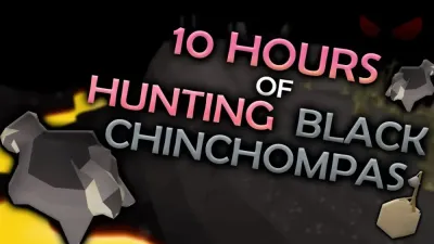 Ultimate Guide to Hunting Black Chinchompas in OSRS